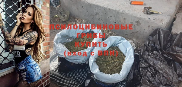ПСИЛОЦИБИНОВЫЕ ГРИБЫ Баксан