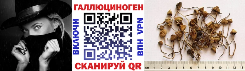 Галлюциногенные грибы Cubensis Макарьев